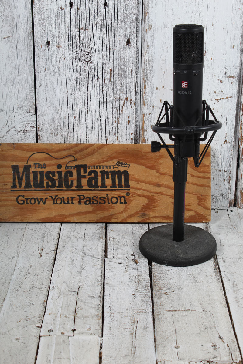 sE Electronics 2200a II Large Diaphragm Cardioid Condensor Instrument and Vocal Microphone Secondary image