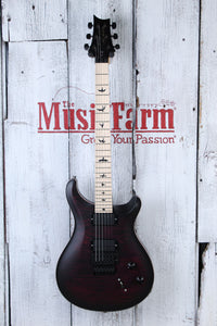 PRS Paul Reed Smith Dustie Waring DW CE 24 Floyd Electric Guitar with Gig Bag