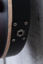 Load image into Gallery viewer, PRS Paul Reed Smith Dustie Waring DW CE 24 Floyd Electric Guitar with Gig Bag