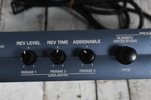 Load image into Gallery viewer, Roland SRV-3030D Digital Reverb Unit 24 Bit Digital Reverb / Multi-Effects Unit