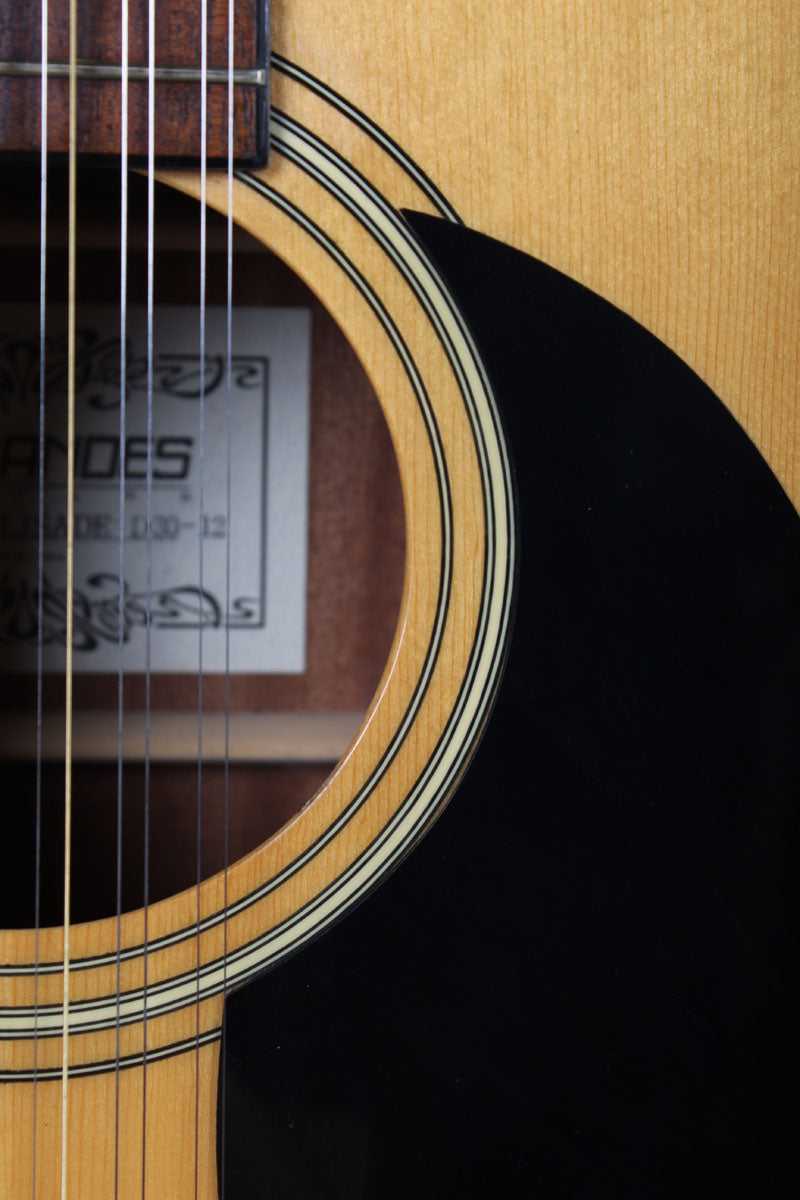 Fernandes Palisade D30-12 12 String Acoustic Electric Guitar with Hardshell Case