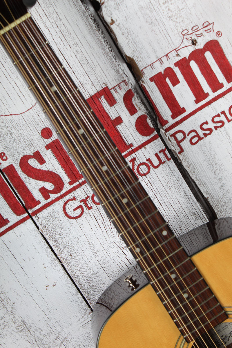 Fernandes Palisade D30-12 12 String Acoustic Electric Guitar with Hardshell Case