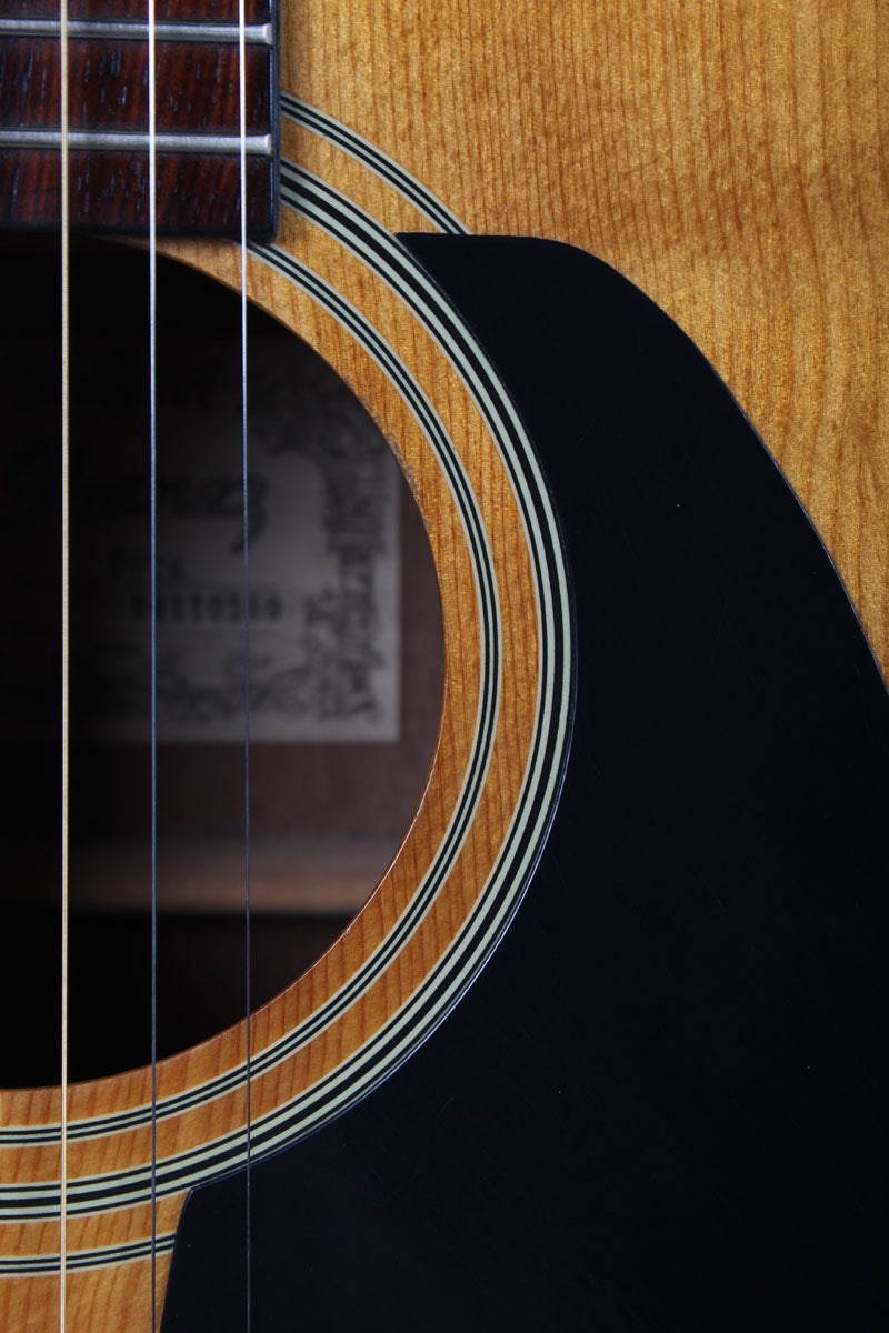 Ibanez PF3 Performance Series Dreadnought Acoustic Guitar with Hardshell Case