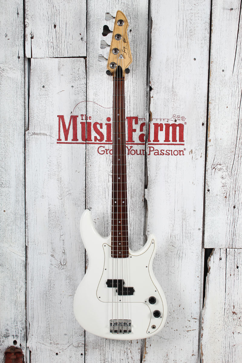 Peavey Fury 4 String Electric Bass Guitar Made in USA with Hardshell Case