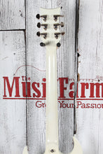 Load image into Gallery viewer, DBZ Diamond Renegade ST Plus Electric Guitar White with Silver Stripes with Case