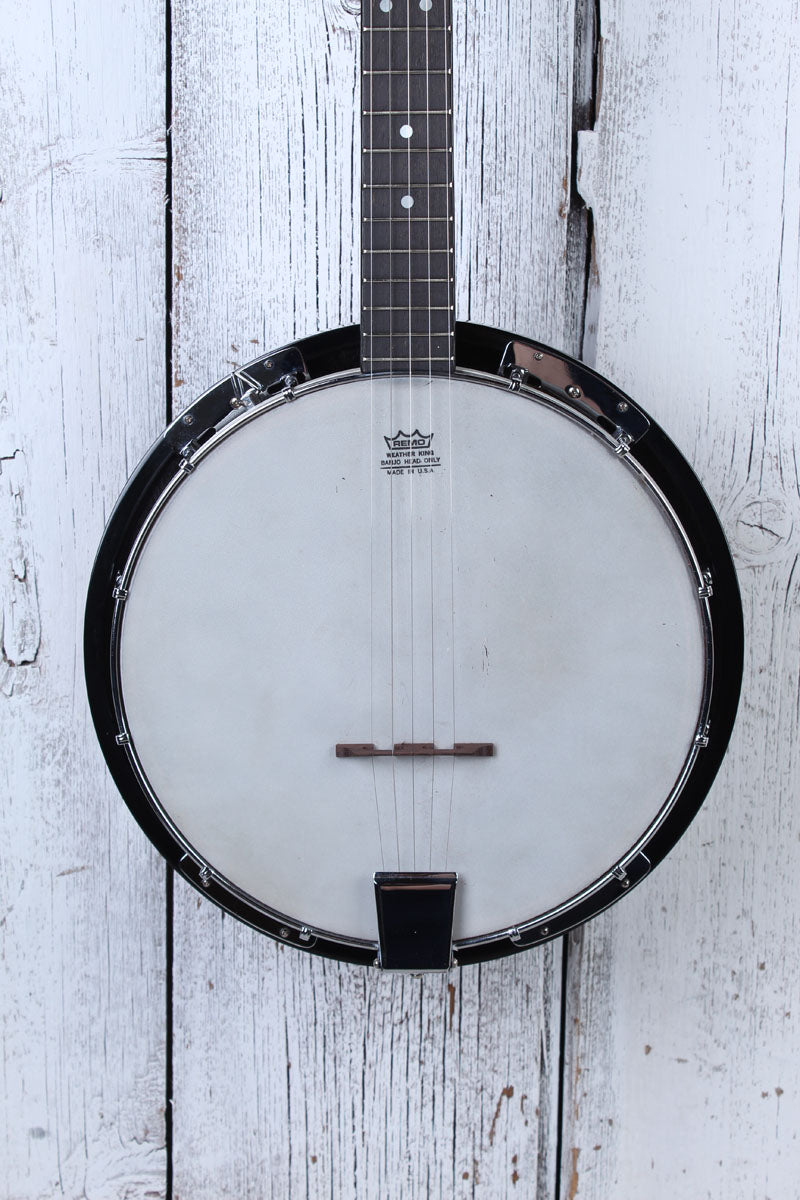 Antares Vintage 5 String Banjo with Chipboard Case