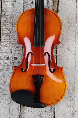 Stagg VN-4/4 L 4/4 Maple Violin with Shaped Soft Case Bow and Resin