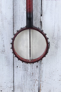 Washburn Americana Series B6 Six String Open Back Banjo with Remo Head