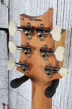 Load image into Gallery viewer, PRS S2 Special Semi-Hollow Reclaimed Limited Edition Electric Guitar w Gig Bag