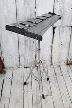 Load image into Gallery viewer, Student Bell Kit Xylophone Bell Kit with Practice Pad and Gig Bag