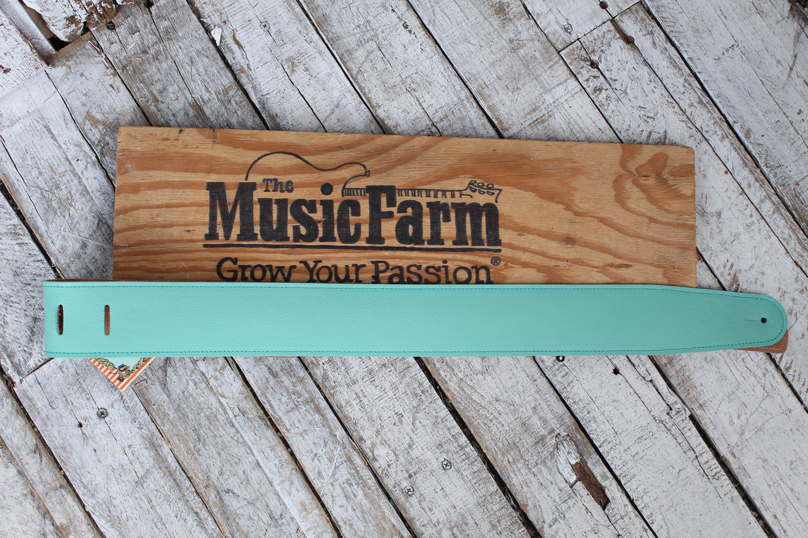 Henry Heller 2.5 Inch Width Capri Leather Adjustable Guitar Strap Seafoam