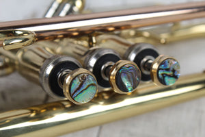 Prelude TR711 Student Trumpet Bb Lacquered Trumpet with Case
