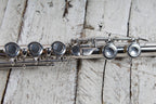 Armstrong Student Model 104 Closed Hole Silver Plated Flute with Hardshell Case