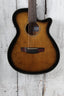 Ibanez AEG5012 12 String Acoustic Electric Guitar Dark Violin Sunburst w Gig Bag