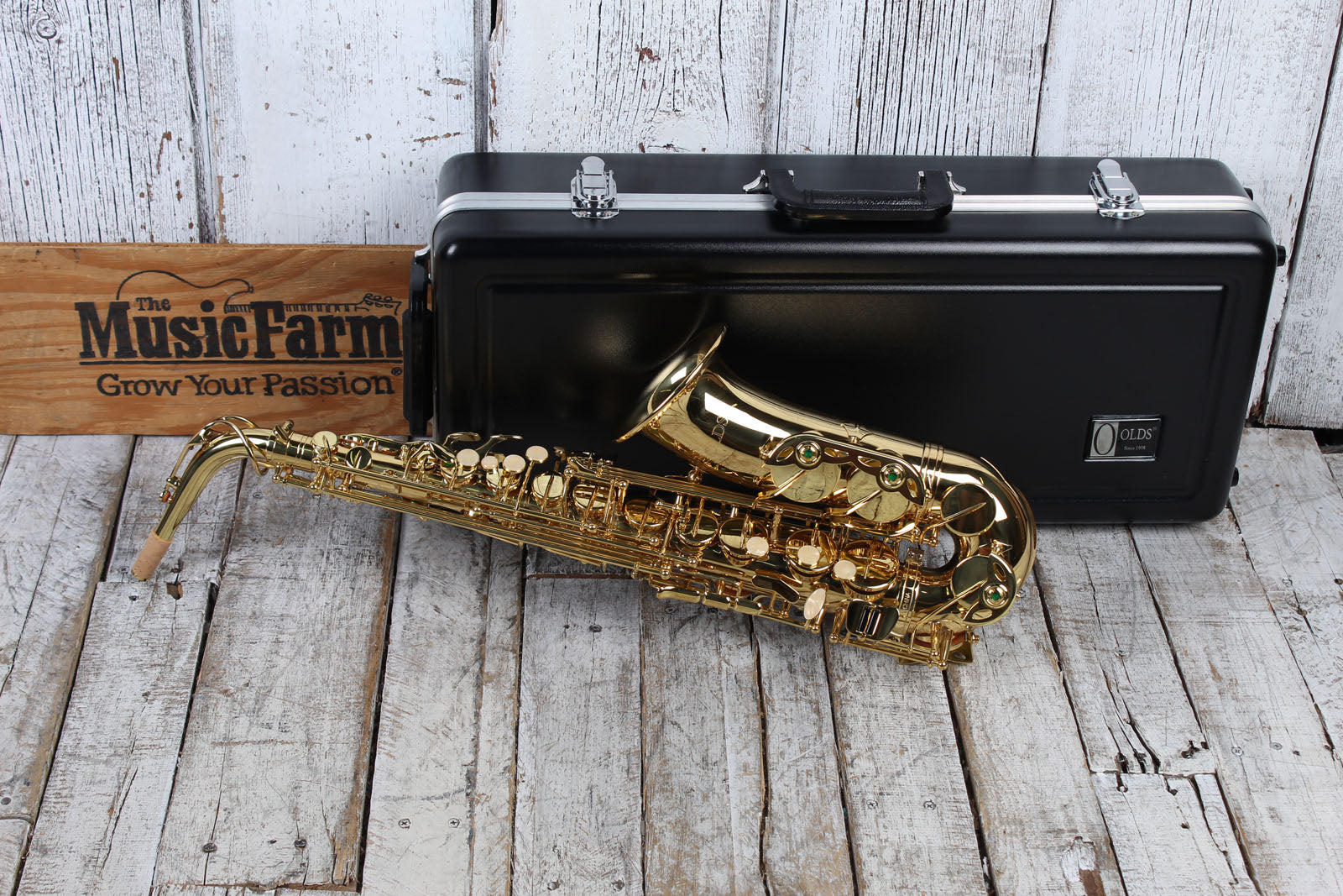 F.E. Olds NAS110PC Saxophone Student Alto Saxophone with Hardshell Case Secondary image