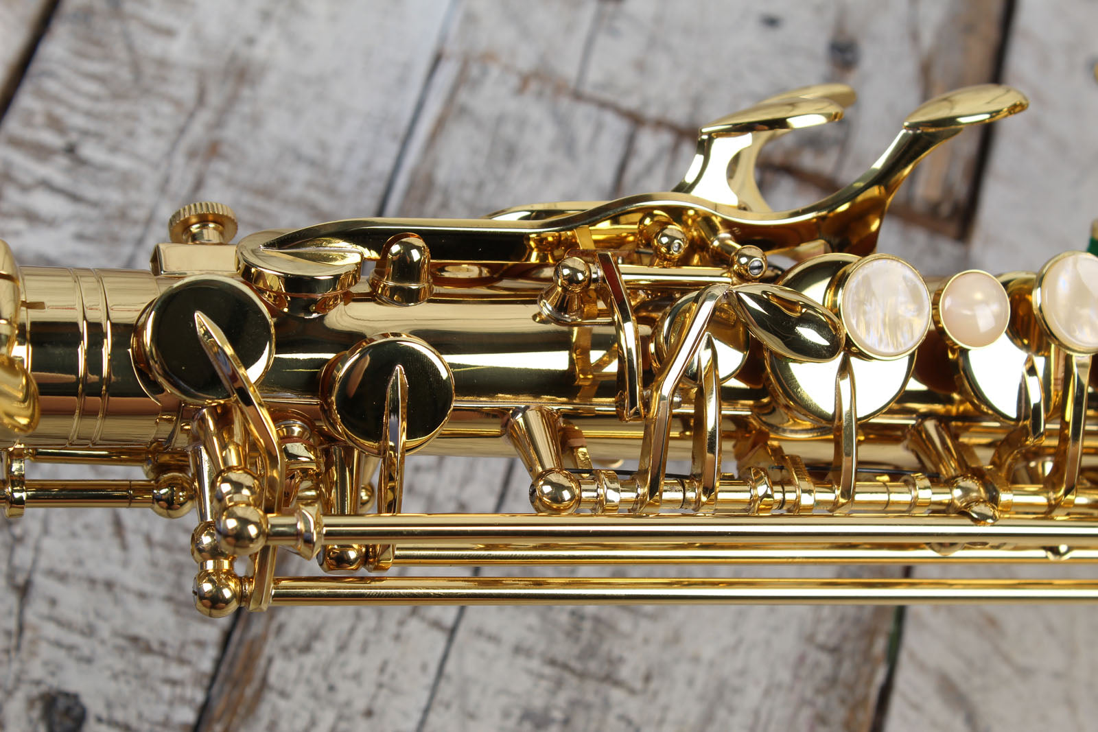 F.E. Olds NAS110PC Saxophone Student Alto Saxophone with Hardshell Case