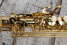 Load image into Gallery viewer, F.E. Olds NAS110PC Saxophone Student Alto Saxophone with Hardshell Case