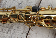 Load image into Gallery viewer, F.E. Olds NAS110PC Saxophone Student Alto Saxophone with Hardshell Case