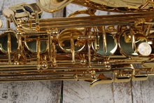 Load image into Gallery viewer, F.E. Olds NAS110PC Saxophone Student Alto Saxophone with Hardshell Case