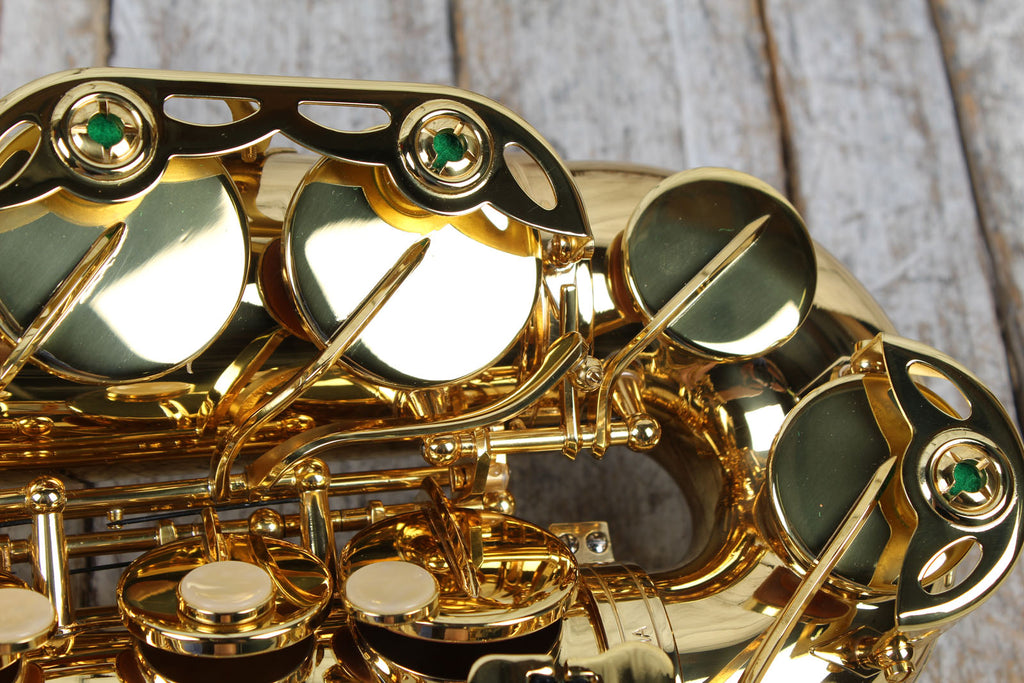 F.E. Olds NAS110PC Saxophone Student Alto Saxophone with Hardshell Case