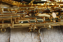 Load image into Gallery viewer, F.E. Olds NAS110PC Saxophone Student Alto Saxophone with Hardshell Case