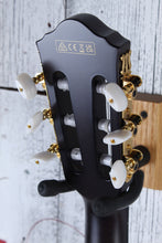 Load image into Gallery viewer, Ibanez FRH20FMN Nylon Acoustic Electric Guitar Dark Emerald Green Low Gloss