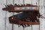 Levy's MG317BOI-BRN  Crazy Horse Outlaw Leather Guitar Strap Brown