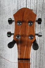 Load image into Gallery viewer, McSpadden Dulci-Banjo Flathead Cherry Dulcimer 4 String Flathead Teardrop Dulcimer with Gig Bag