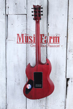 Load image into Gallery viewer, ESP LTD Viper-1000 EverTune Electric Guitar See Thru Black Cherry with Gig Bag