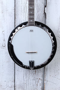 Washburn Americana Series B10 5 String Resonator Back Banjo Gloss Sunburst