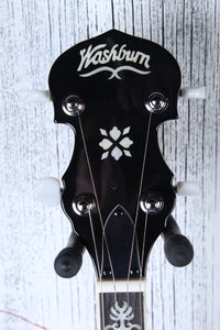 Washburn Americana Series B10 5 String Resonator Back Banjo Gloss Sunburst