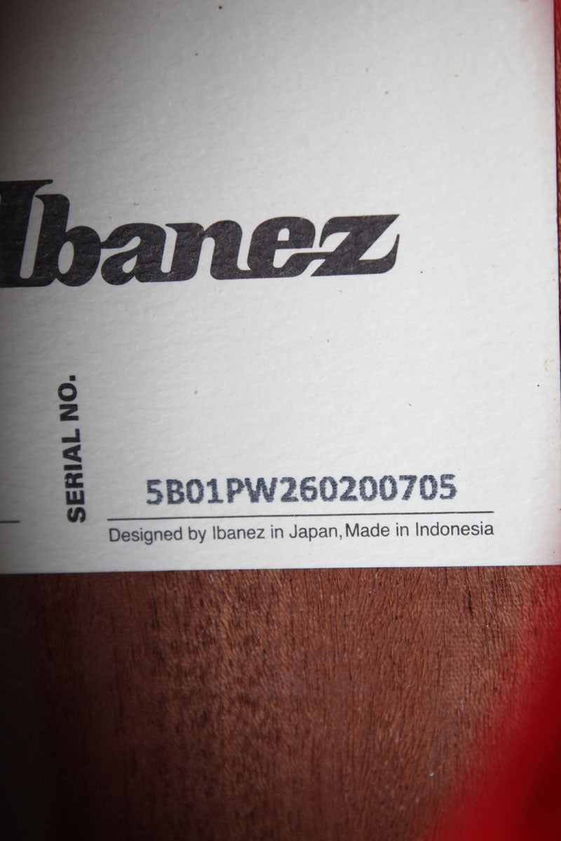 Ibanez AEGA250 250th USA Anniversary Limited Edition Acoustic Electric Guitar