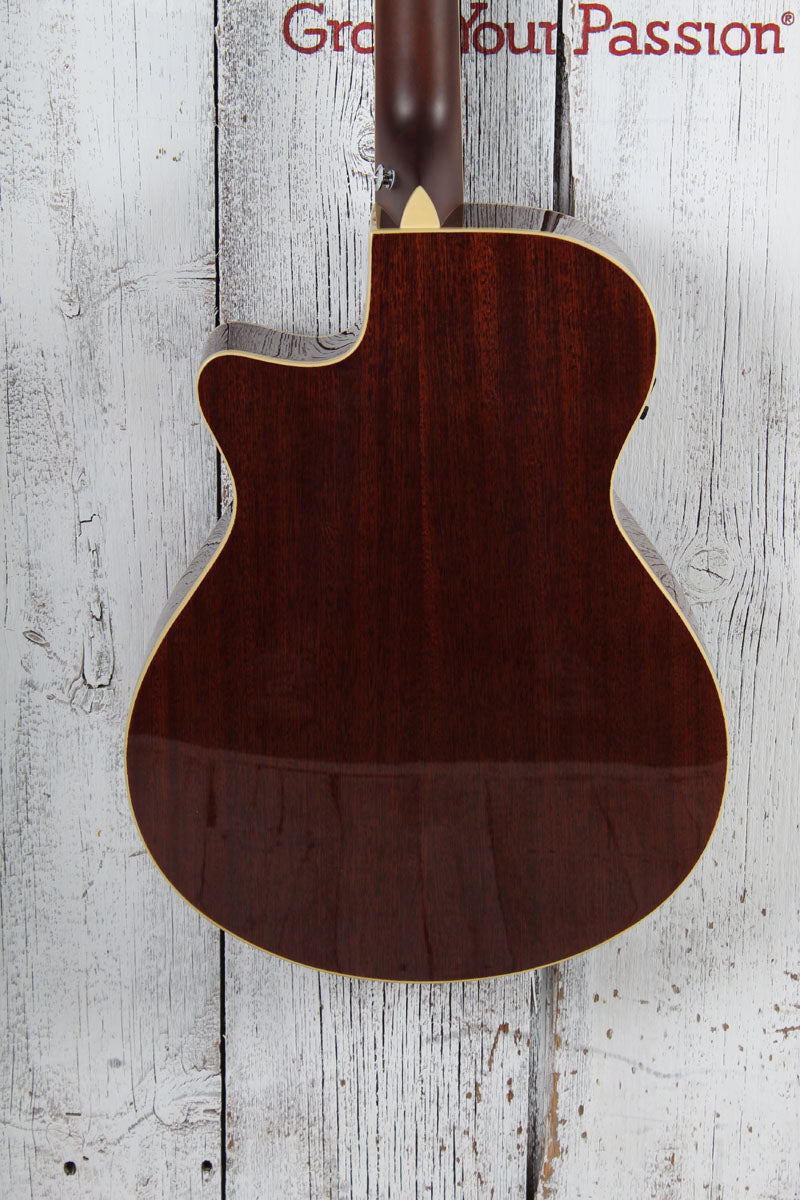 Ibanez AEGA250 250th USA Anniversary Limited Edition Acoustic Electric Guitar