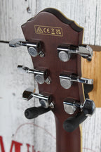 Ibanez AEGA250 250th USA Anniversary Limited Edition Acoustic Electric Guitar