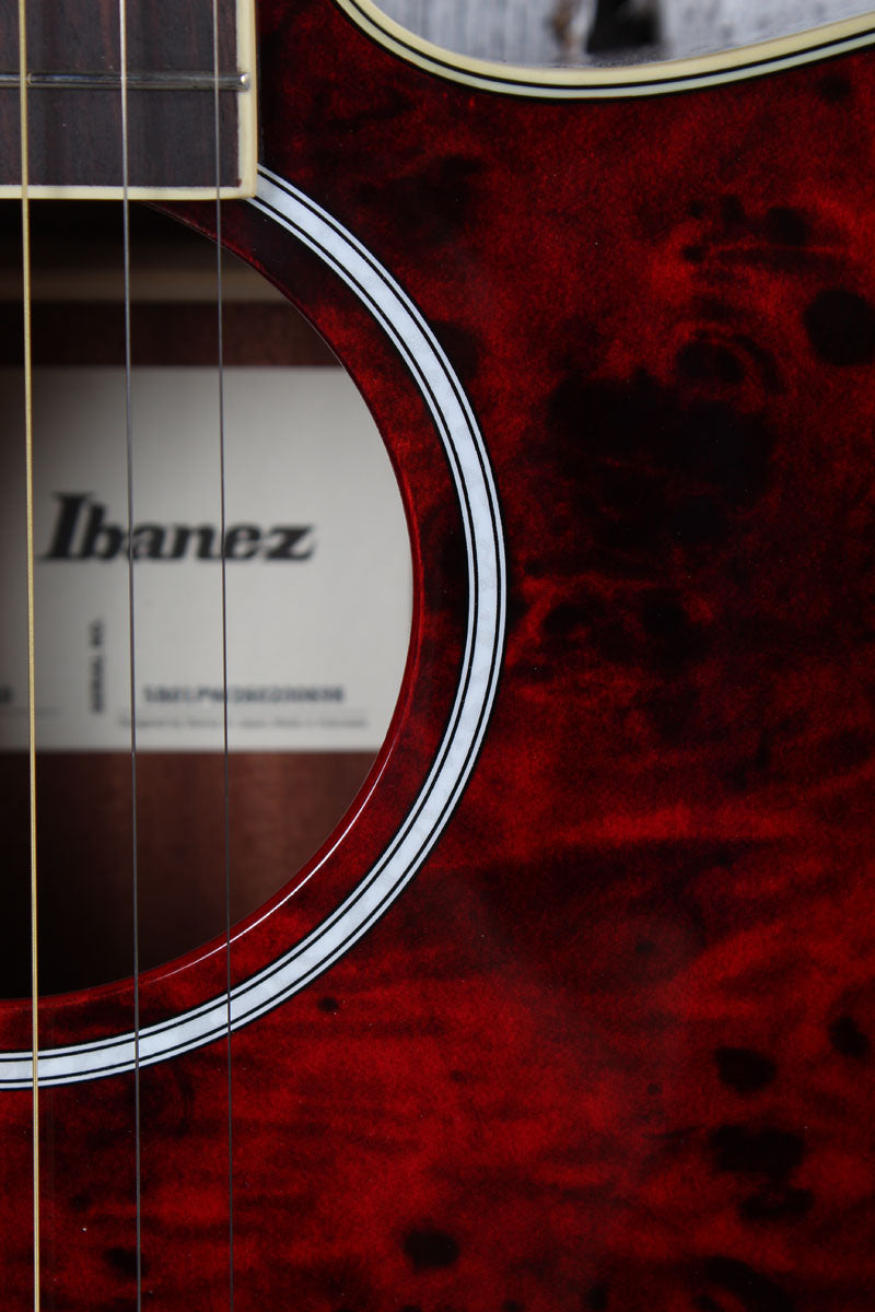 Ibanez AEGA250 250th USA Anniversary Limited Edition Acoustic Electric Guitar
