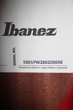 Ibanez AEGA250 250th USA Anniversary Limited Edition Acoustic Electric Guitar