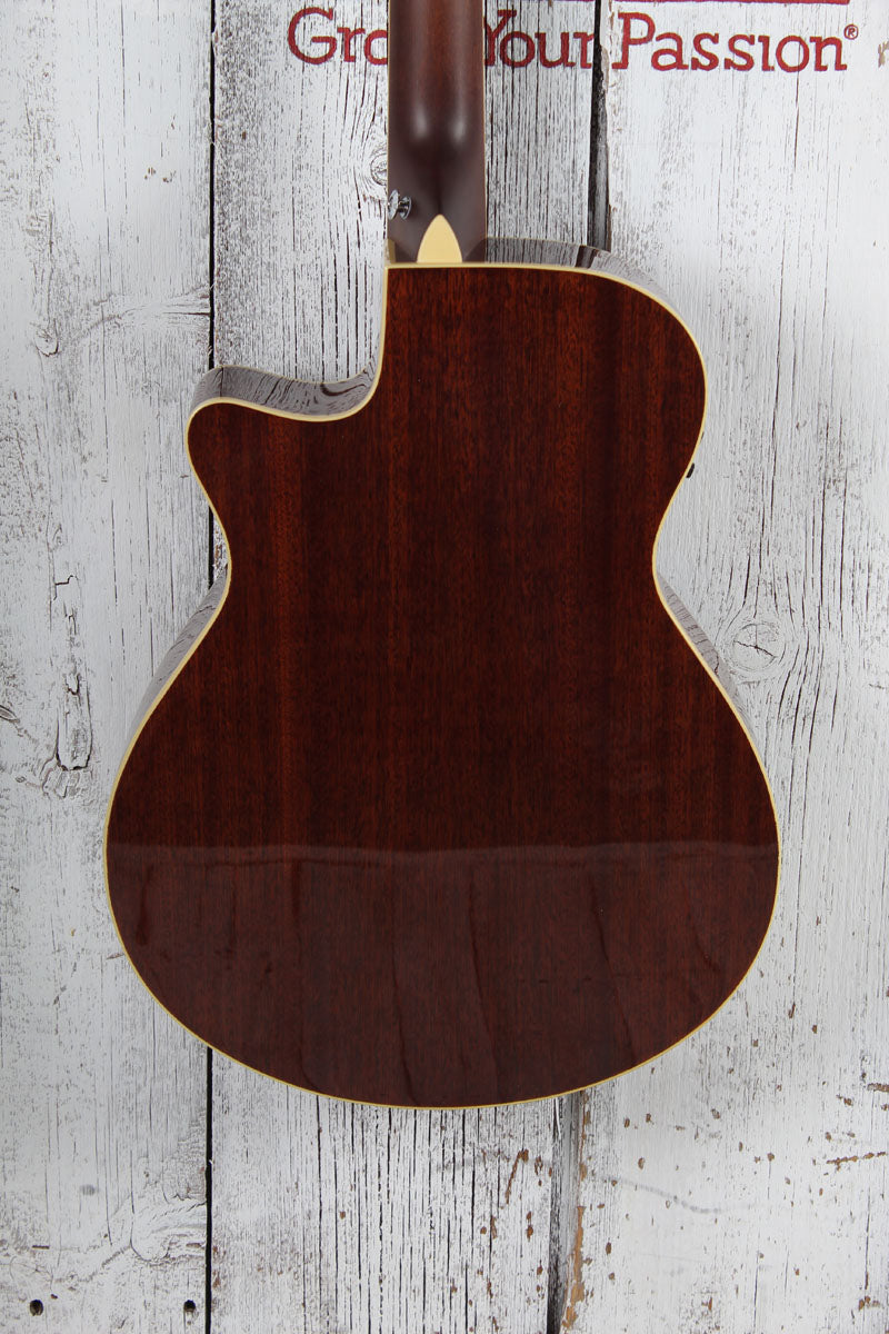 Ibanez AEGA250 250th USA Anniversary Limited Edition Acoustic Electric Guitar