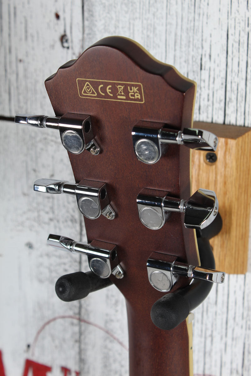 Ibanez AEGA250 250th USA Anniversary Limited Edition Acoustic Electric Guitar