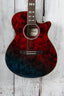 Ibanez AEGA250 250th USA Anniversary Limited Edition Acoustic Electric Guitar