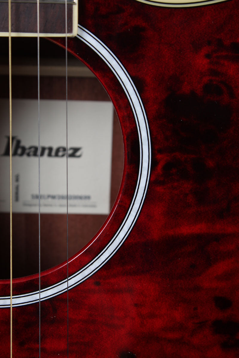 Ibanez AEGA250 250th USA Anniversary Limited Edition Acoustic Electric Guitar