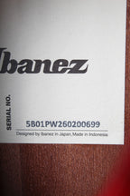 Ibanez AEGA250 250th USA Anniversary Limited Edition Acoustic Electric Guitar