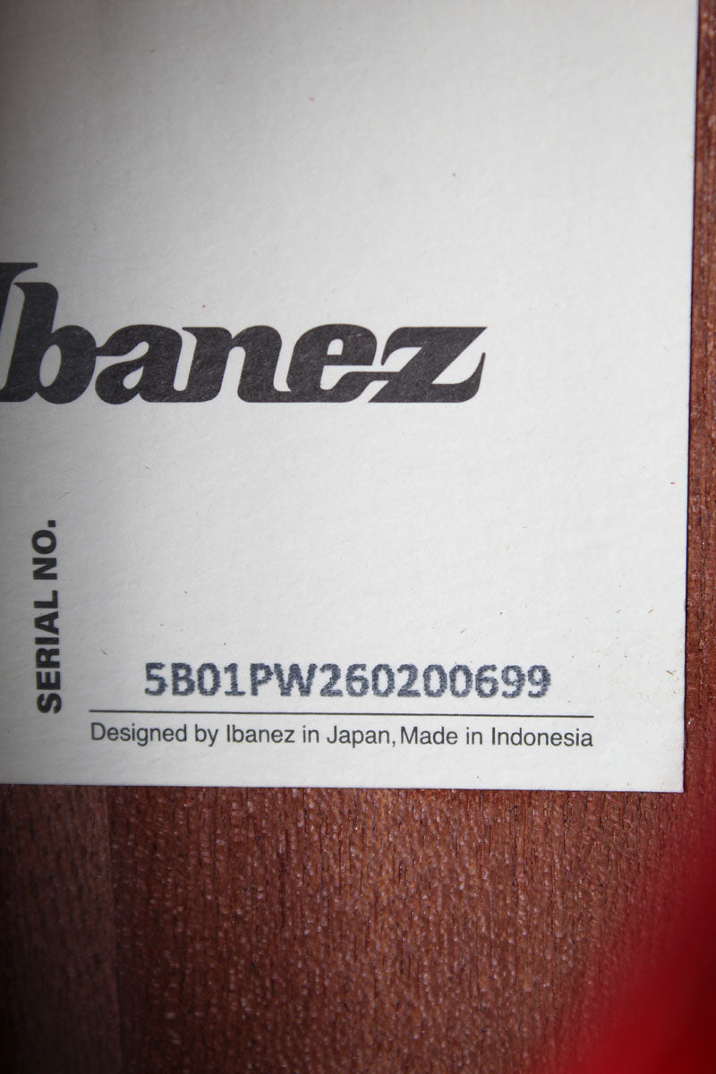 Ibanez AEGA250 250th USA Anniversary Limited Edition Acoustic Electric Guitar
