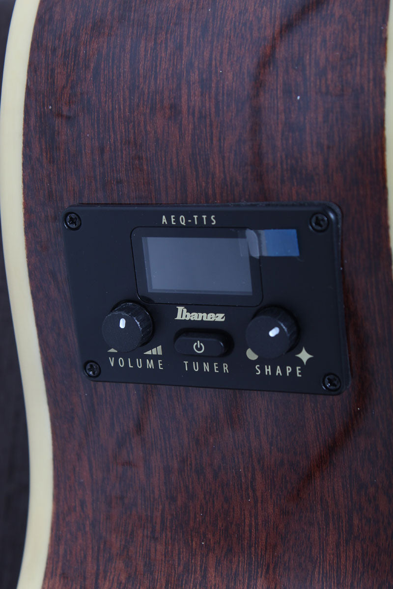 Ibanez AEGA250 250th USA Anniversary Limited Edition Acoustic Electric Guitar
