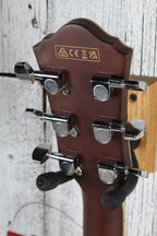 Ibanez AEGA250 250th USA Anniversary Limited Edition Acoustic Electric Guitar