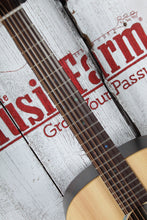 Load image into Gallery viewer, Martin D-X2E Brazilian 12 String Acoustic Electric 12 String Guitar with Gig Bag