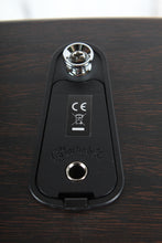 Load image into Gallery viewer, Martin D-X2E Billy Strings Signature Acoustic Electric Guitar with Gig Bag