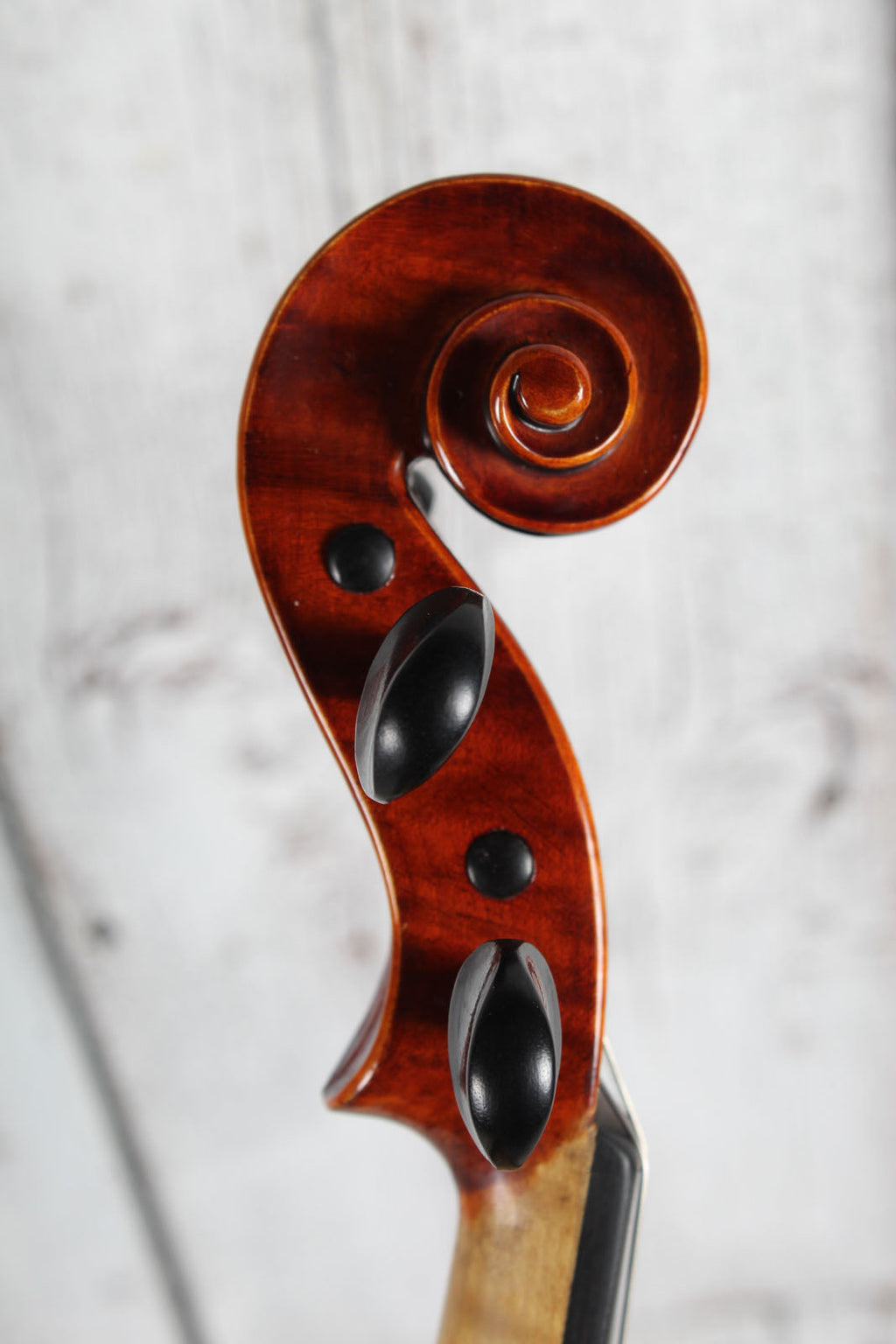 Johannes Kohr K500 Violin 3/4 Size Violin with Hardshell Case