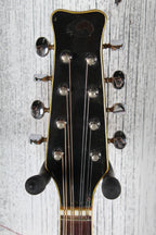Kingston Vintage 1960s Solid Body Electric Mandolin Made in Japan