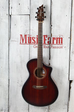 Load image into Gallery viewer, Breedlove Wildwood Concert Whiskey Burst CE Acoustic Electric Guitar w Gig Bag