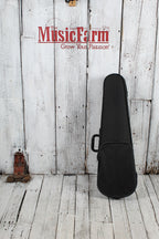 Non Branded 3/4 Size Violin with Case